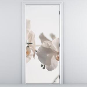 Foto tapeta za vrata - Bijele orhideje (95x205cm)