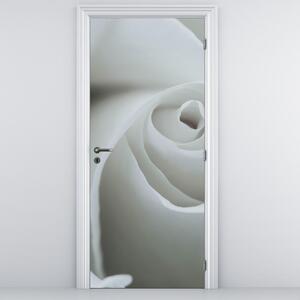 Foto tapeta za vrata - Bijela ruža (95x205cm)