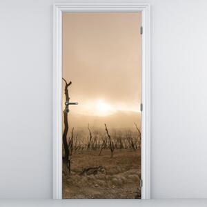Foto tapeta za vrata - Gola stabla (95x205cm)