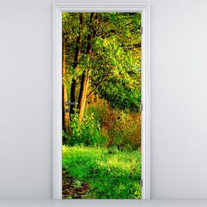 Foto tapeta za vrata - Staza uz vodu (95x205cm)