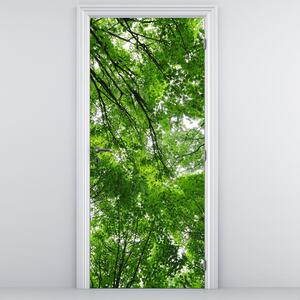Foto tapeta za vrata - Pogled na krošnje drveća (95x205cm)