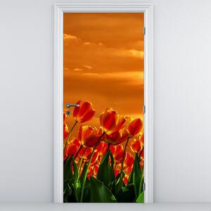 Foto tapeta za vrata - Cvjetajuće polje s tulipanima (95x205cm)