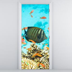 Foto tapeta za vrata - Podvodni svijet (95x205cm)