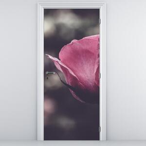 Foto tapeta za vrata - Detalj cvijeta ruže (95x205cm)