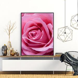 Plakat - Ružičasta ruža (A4)