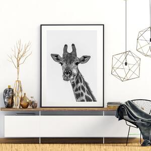Plakat - Žirafa (A4)