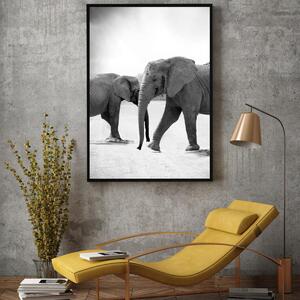Plakat - Slonovi izašli u susret (A4)
