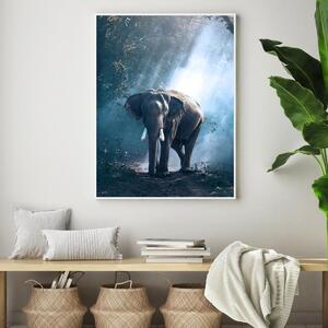 Plakat - Slon u džungli (A4)