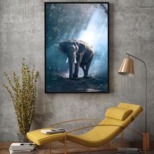 Plakat - Slon u džungli (A4)