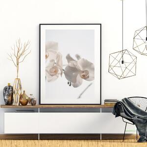 Plakat - Bijela orhideja (A4)