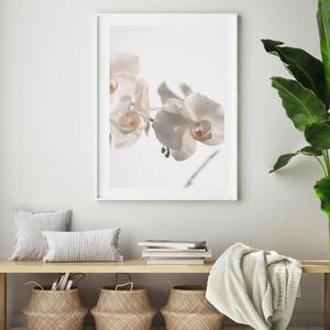 Plakat - Bijela orhideja (A4)
