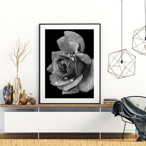 Plakat - Ružin cvijet (A4)