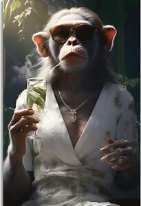 Slika životinja gangster majmun