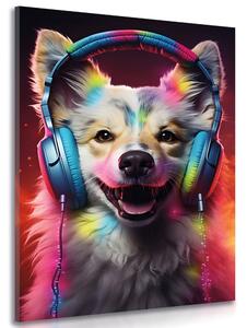 Slika pas sa slušalicama