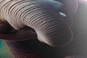 Slika slon sa slušalicama