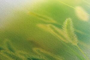 Slika vlati trave u zelenom dizajnu
