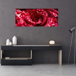 Slika cvijeta crvene ruže (120x50 cm)