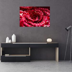 Slika cvijeta crvene ruže (90x60 cm)