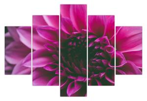Slika ružičastog cvijeta (150x105 cm)