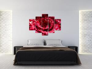 Slika cvijeta crvene ruže (150x105 cm)
