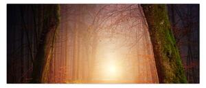 Slika jesenske šume u magli (120x50 cm)