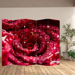 Paravan - cvijet crvene ruže (210x170 cm)