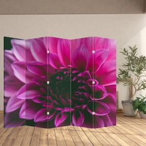 Paravan - Ružičasti cvijet (210x170 cm)