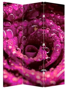 Paravan - Cvijet ružičaste ruže (126x170 cm)