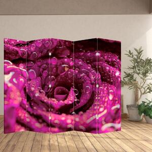 Paravan - Cvijet ružičaste ruže (210x170 cm)