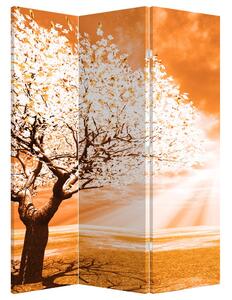 Paravan - stablo naranče (126x170 cm)