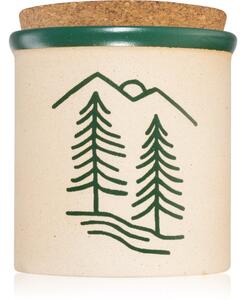 Paddywax Cypress & Fir Dune mirisna svijeća green 226 g