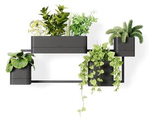 Plastične posude za cvijeće u setu 4 kom za bilje/viseće i zidne Cubiko – Umbra