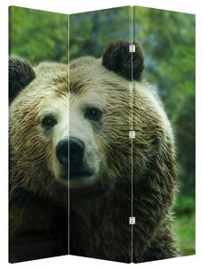 Paravan - Medvjed (126x170 cm)
