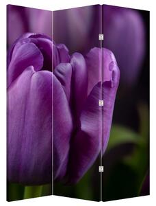 Paravan - cvijet tulipana (126x170 cm)