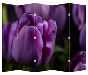 Paravan - cvijet tulipana (210x170 cm)