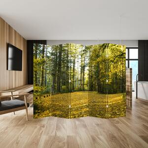 Paravan - Šuma u jesen (210x170 cm)