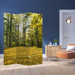 Paravan - Šuma u jesen (126x170 cm)