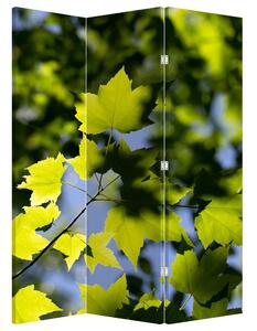 Paravan - Javorovo lišće (126x170 cm)