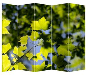 Paravan - Javorovo lišće (210x170 cm)