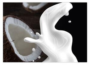 Slika - kokosovo mlijeko (70x50 cm)