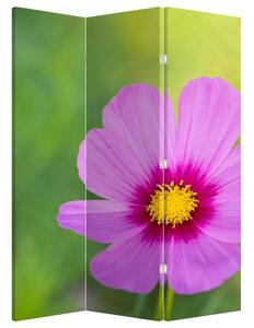 Paravan - Livadni cvijet (126x170 cm)