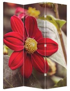 Paravan - Cvijet (126x170 cm)