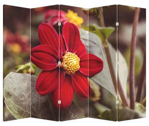 Paravan - Cvijet (210x170 cm)