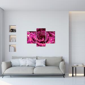 Slika cvijeta ružičaste ruže (90x60 cm)