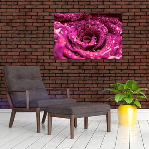 Slika cvijeta ružičaste ruže (90x60 cm)