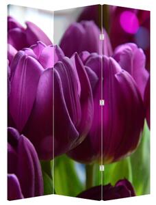 Paravan - Tulipani (126x170 cm)