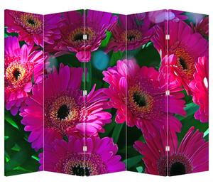 Paravan - Cvijeće (210x170 cm)