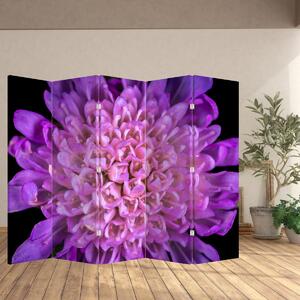 Paravan - Detalj cvijeta (210x170 cm)