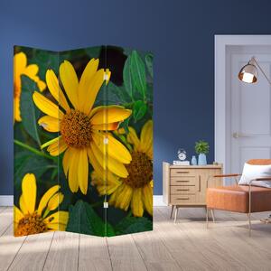 Paravan - Žuto cvijeće (126x170 cm)
