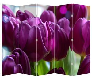 Paravan - Tulipani (210x170 cm)